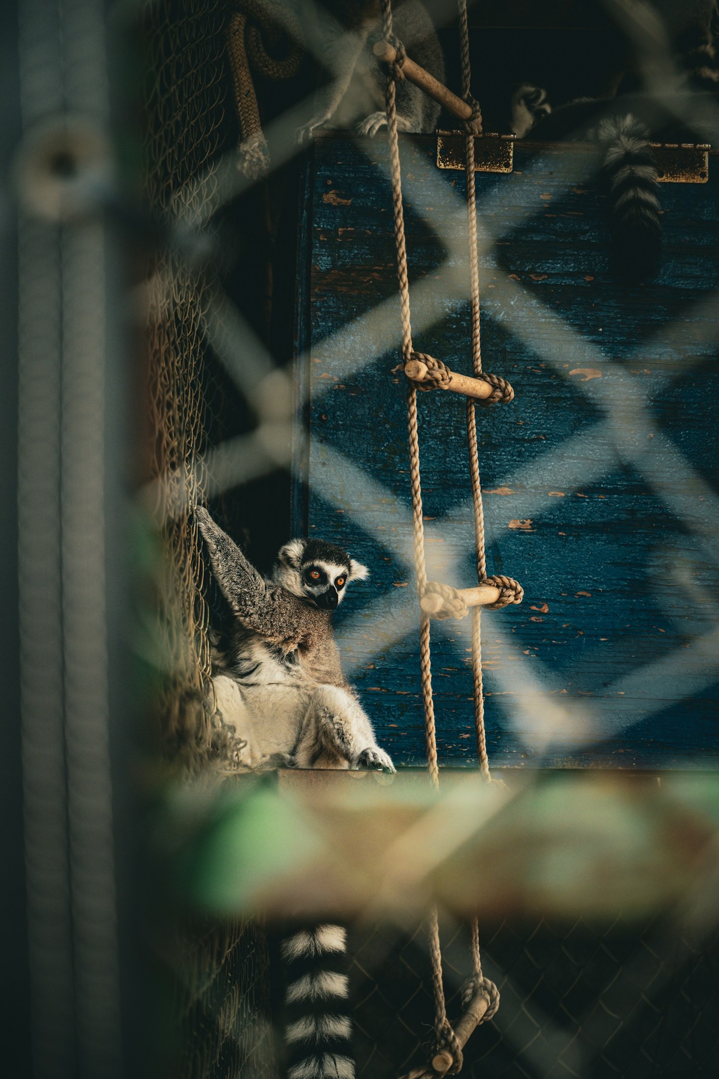 Tips voor een onvergetelijk bezoek aan Dierenpark Ruinen